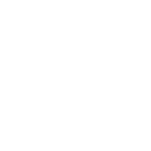 Trip PlayBack